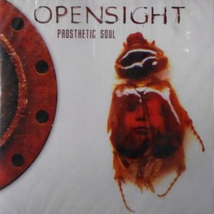Prosthetic Soul