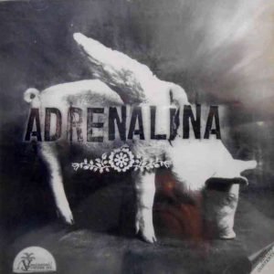 Ni Un Pelo de Inocente