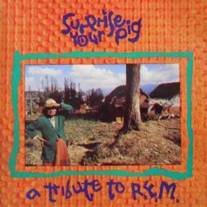 Surprise Your Pig - A Tribute To R.E.M.