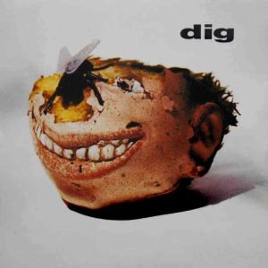Dig