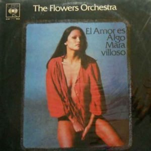 El Amor Es Algo Maravilloso