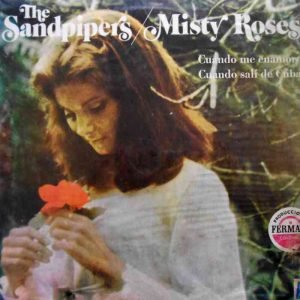 Misty Roses