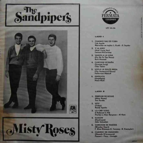 Misty Roses - Imagen 2