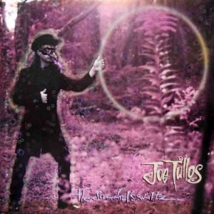 The Scoundrel's Waltz