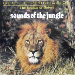 Sounds Of The Jungle