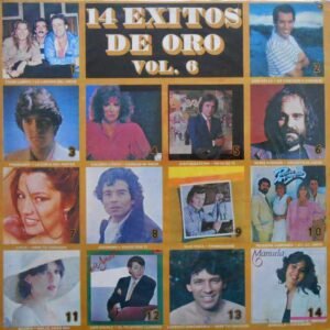 14 Éxitos De Oro Vol. 6