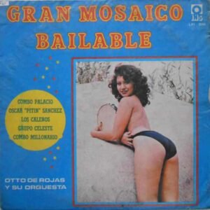 Gran Mosaico Bailable