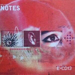 Real World Notes E-CD13