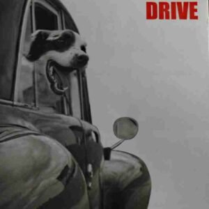 Drive Zoo Collection