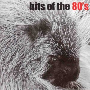 Zoo Collection - Hits Of The 80´s