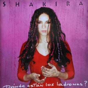 Dónde Están Los Ladrones?