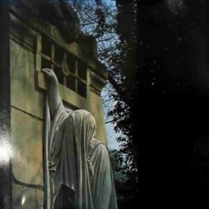 Within The Realm Of A Dying Sun