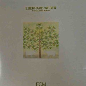 The Following Morning