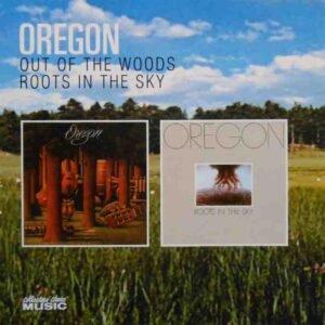 Out Of The Woods / Roots In The Sky