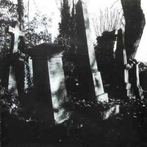 Darktown