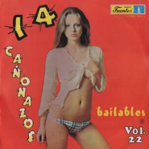 14 Cañonazos Bailables Vol. 22