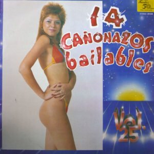 14 Cañonazos Bailables Vol. 25