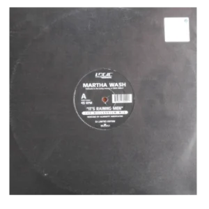 It's Raining Men (The Millennium Mix)