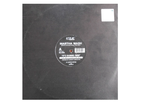 It's Raining Men (The Millennium Mix)