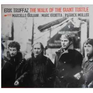 The Walk Of The Giant Turtle