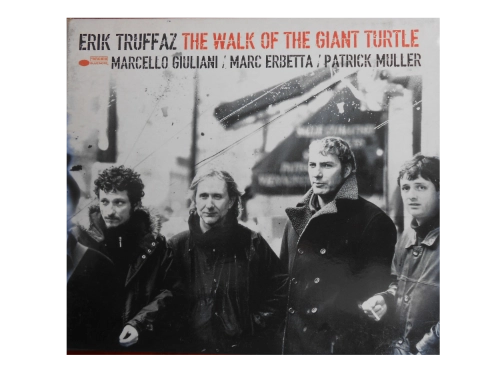 The Walk Of The Giant Turtle
