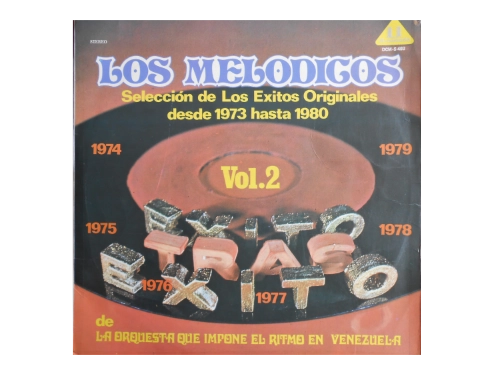 Exito Tras Exito Vol. 2 (Selección De Los Exitos Originales Desde 1973 Hasta 1980)